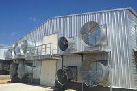 Fabrication cadre en acier de poulet avec dimension personnalisée