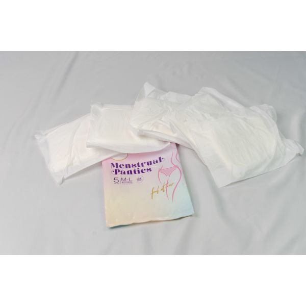 Menstrual Protection Overnight Period Panties OEM Protection Night Time Period Pants
