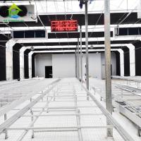 Serre chaude de tunnel de Caterpillar de longueur de Dep Green House 70m de lumière de panne d'électricité de légumes