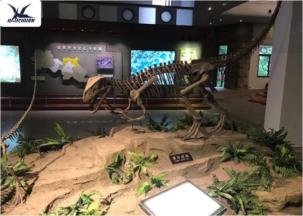 Playground Indoor Artificial Dinosaur Skeleton Replica Life Size Fiberglass Resin