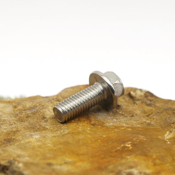 Stainless steel flange bolt customized