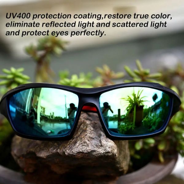 Classic Polarized High Def Sunglasses