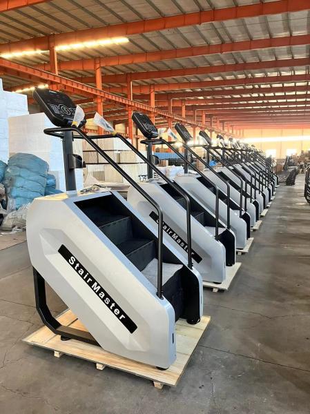 2024 Commercial Gym Fitness Equipment Stair Cardio Stepper Machine Master Stair Climber Climbing Machine Stair Machine