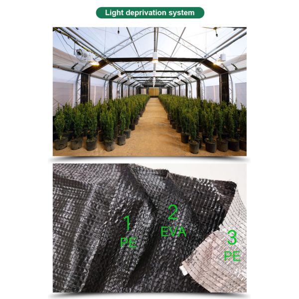 Сельскохозяйственные светочувствительные теплицы - идеальное решение для выращивания грибов