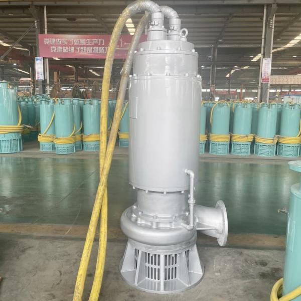 Submersible Stainless Steel Pumps 75kw 55hp 1100m³/H 15m Head