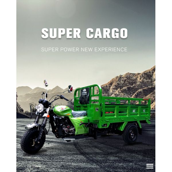 175cc Engine 800 W power DAYANG Heavy-duty Three Wheels Motorcycles for Global Market