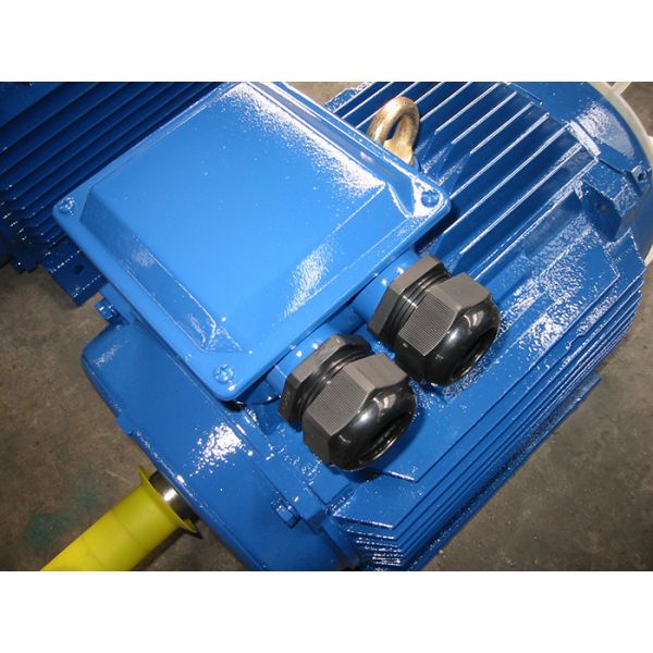 High Quality IE2/IE3/IE4 Series 4kW, 5.5HP, Three-Phase Induction Electric Motor AC Engine Asynchronous Motor