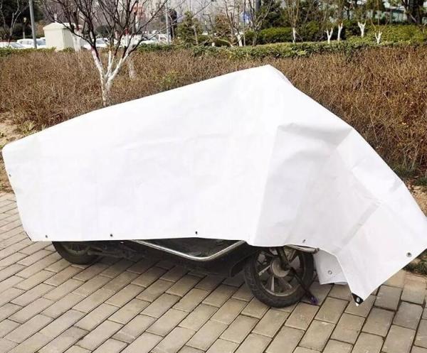 Truck Bed Tarp Cover Digital Print Tarpaulin/ Waterproof Tarp Caravan Awning Tarpaulin Plastic Sheet For Truck Cover