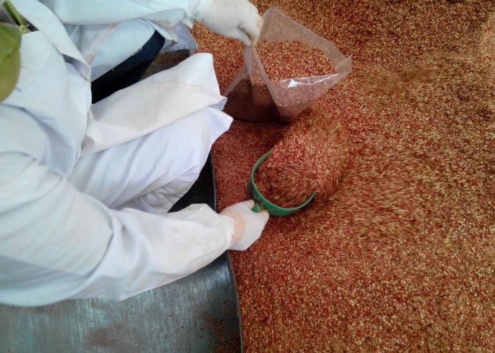 Задавленный OEM перец красных чилей чилей сырцовый шелушится едкий вкус