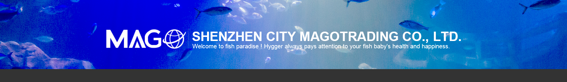 Aquarium Strong Magnetic Cleaner Algae Magnet Cleaning Tool with Scraper Floating Brush for Fish Glass Tank