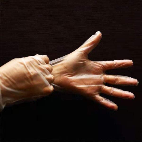 Hot Selling Food Grade Powder Free Disposable TPE PE Gloves Low Cost Disposable PE Gloves