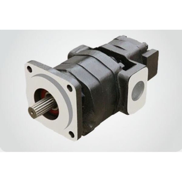 P330 Pilot pump/Double Gear pump Hydraulic piston pump parts/replacement parts