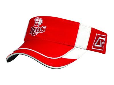 Sunvisors