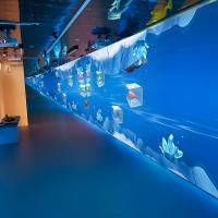 Système de projection de mur interactif en 3D pour hôtel