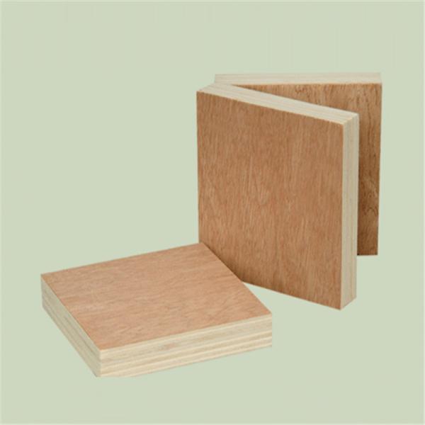 Bintangor Core 5 Ply 8.5mm Bintangor Plywood