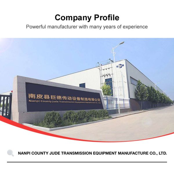 Crowned Teeth Electric Motor Shaft GCLD Programmable Flexible Gear Coupling