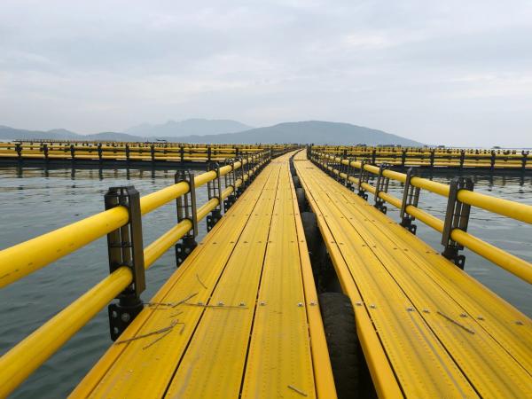Round HDPE Pipe Circular Floating Net Cage for Fish Farming Made of HDPE and USD Payments