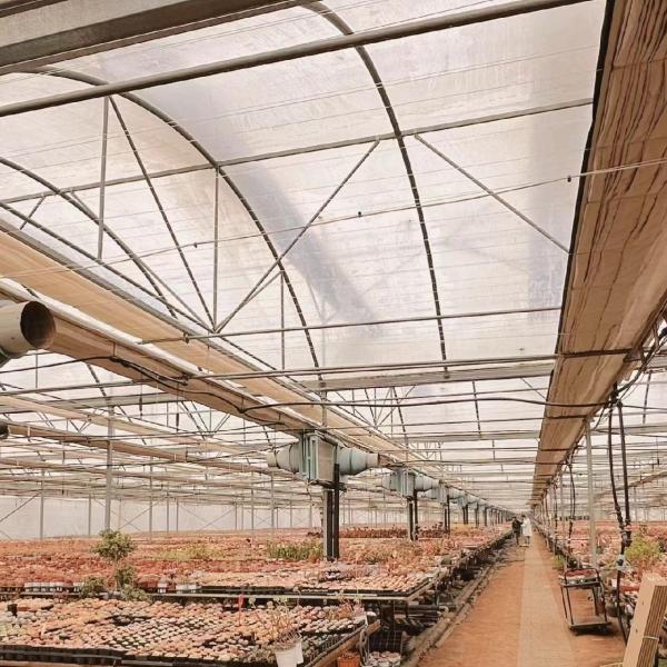 Vegetable Production Po Film Greenhouse with Water Pipe System and Low Shipping Cost