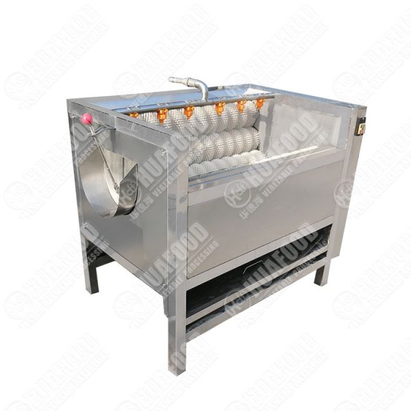 Washing Machine For Dates Hot Sale Dry Date Palm Washing Cleaning Machine Palm Processing Production Line