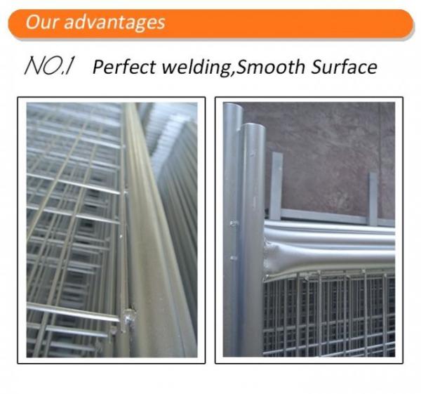 Portable Barriers Fencing / Portable Event Fencing Anti Climb Mesh Infill