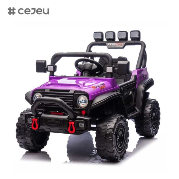 CJ-HP-018SJ 4 Wheel Drive Powered UTV Models Good Choice Rear Storage Space 2 Speeds Available Colorful Purple Black Pink Blue Plastic Car