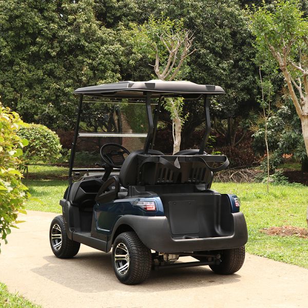 Affordable 2 Seaters Electric Golf Cart With Lithium Battery