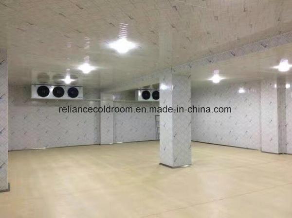 Frigorífico de sala fria com equipamento de refrigeração adequado