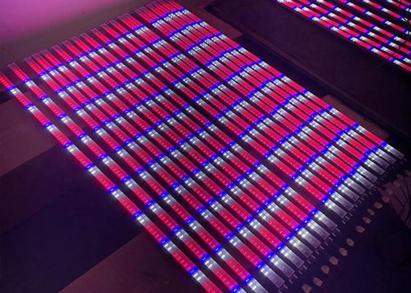 80w LED Plant Growth Lamp 0.6m Led Grow Light T8 Full Specturm