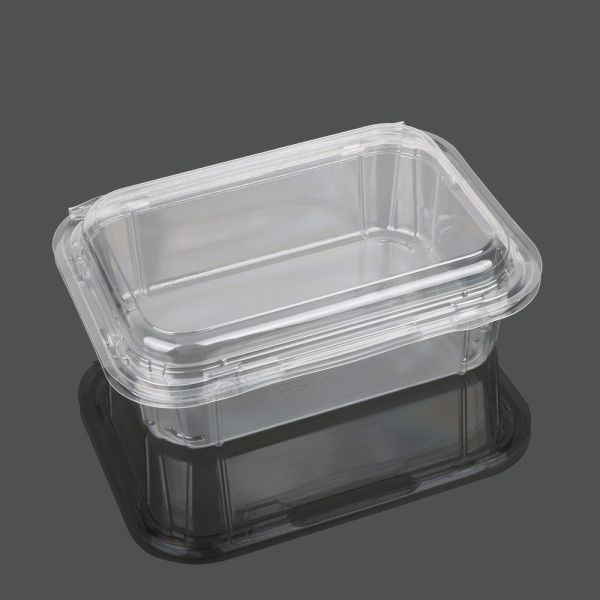 Takeaway Packaging 13.5cm Disposable Plastic Food Box