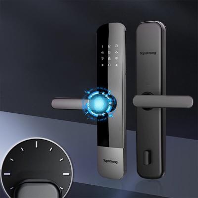 Digital Fingerprint Mortise Lock Anti Theft For Door Custom