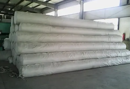 Южная Африка Дам Лайнер Промышленный дизайн стиль HDPE геомембраны по доступным ценам