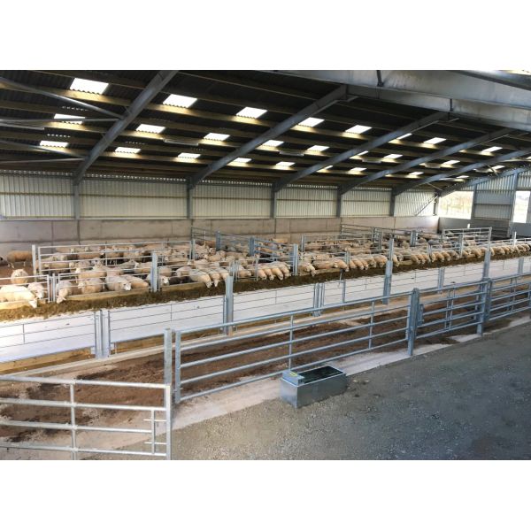 Покрашенные изготовленные коровьи сараи Стальная конструкция Конструкция для конюшен