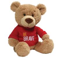 Mascotte de la société personnalisée ODM OEM Plush Teddy Bear portant des broderie Tissu de logo imprimé