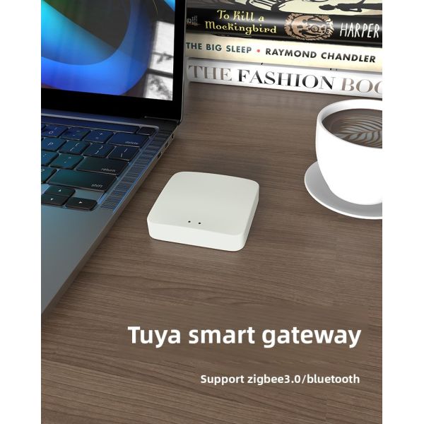 Wireless Smart Home Gateway Zigbee Touch Panel Bluetooth Mesh Low Latency