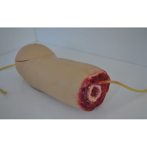 Arm Haemorrhage Amputated Module First Aid Manikins with Soft Imported PVC