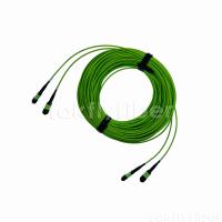 2 la correction de X 12f Mpo Mtp attachent le vert de chaux Om5 de 3.0mm pour la mise en réseau à grande vitesse de Data Center