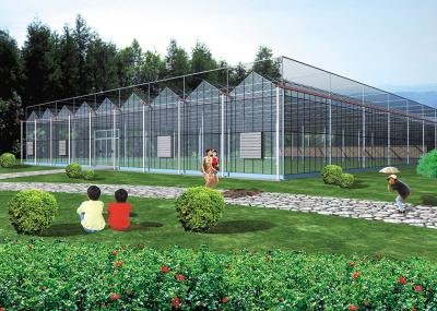 Structure solide, climat réglable VENLO Serres en verre pour la culture des fraises et des fleurs