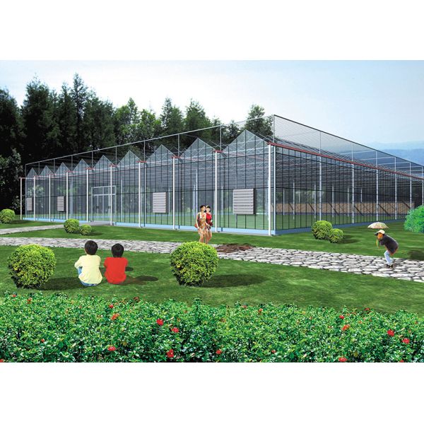 Sturdy Structure, Adjustable Climate VENLO Glass Greenhouses For Strawberry & Flower Cultivation