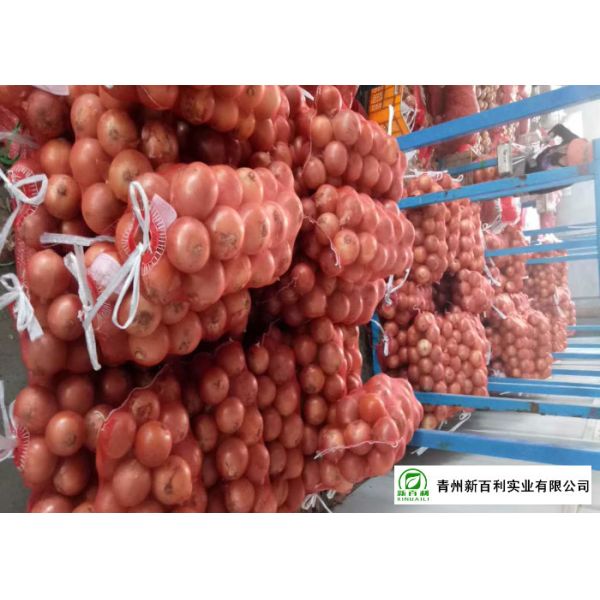 Big Size Fresh Yellow Onion Vacuum Packing Peeling Sell To Supermarket