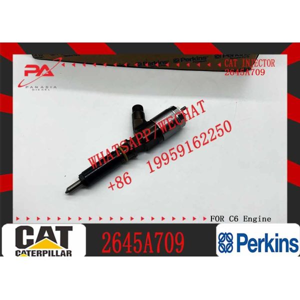 New Diesel Fuel Injectors Nozzles 321-0990 2645A743 10R-7668 2645A705 2645A709 Injector For Caterpillar C6.6 Perkins 110