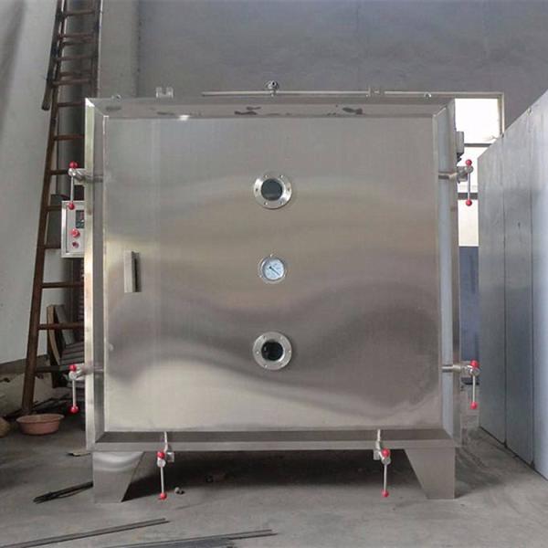 SS Pharmaceutical Vacuum Freeze Dryer Machine For 60 L Drying Capacity