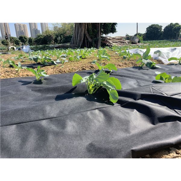 weed killer fabric mat, agricultural anti weed mat, dust control weed mat, dust cover matt, agricultural black white gre