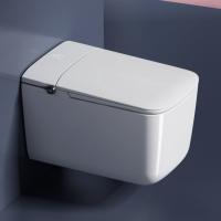 Cuve allongée en céramique multifonctionnelle Toilette intelligente électrique moderne avec réservoir coulé