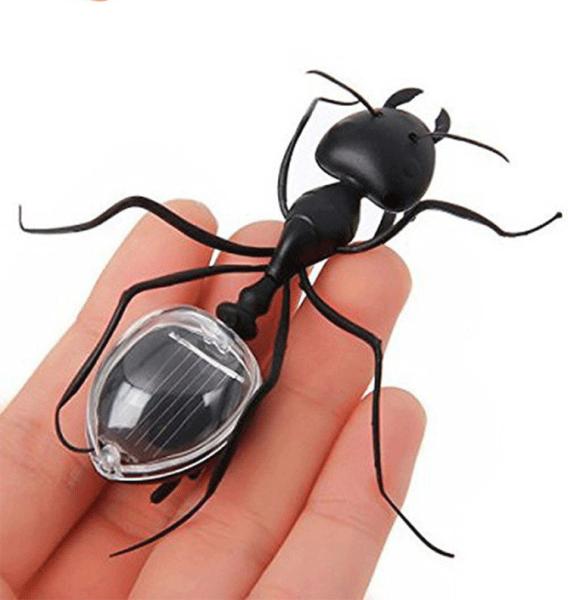 Black Solar Powered Ant Small Solar Toys Early Learning Educational Toy