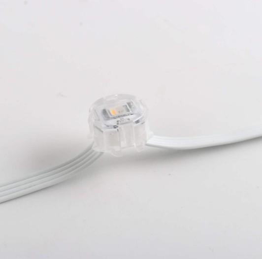 APP Control Waterproof Smart 20mmm 12v Outdoor Christmas Eaves Decorative Led Pixel Point Light