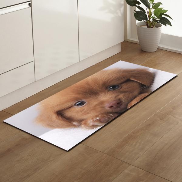 Absorvente bonito animal da água de Mats Home Entry Door Mat do assoalho da cozinha do cão