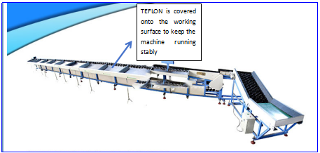 Máquina personalizada do graduador do vegetal de fruto com o tela táctil da cor de Siemens