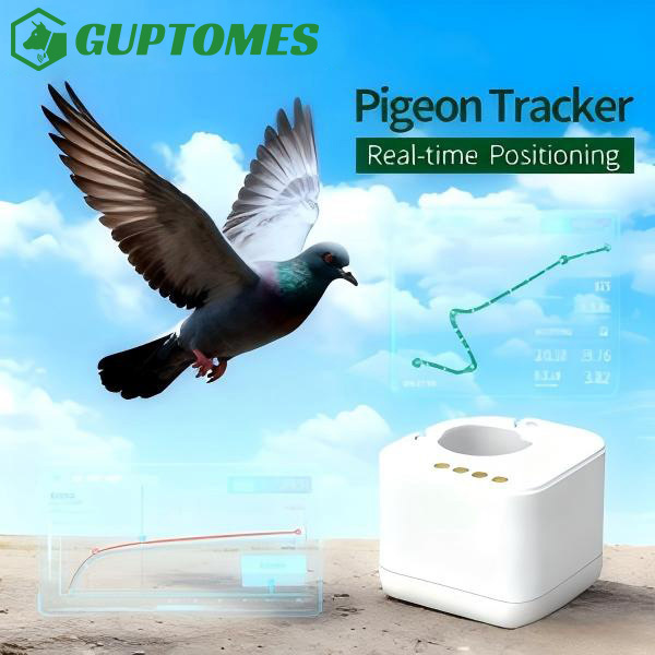 Traqueur GPS étanche pour pigeons voyageurs avec détection intelligente d'anomalies pour achats en gros