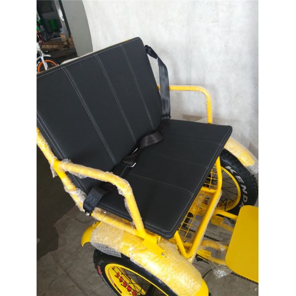 750W Central Motor Fat Tire Electric Rickshaw with Aluminum Carrier and Passenger Seat