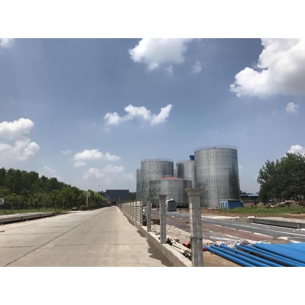 Pitless 80T modificó el puente basculante resistente de la longitud para requisitos particulares